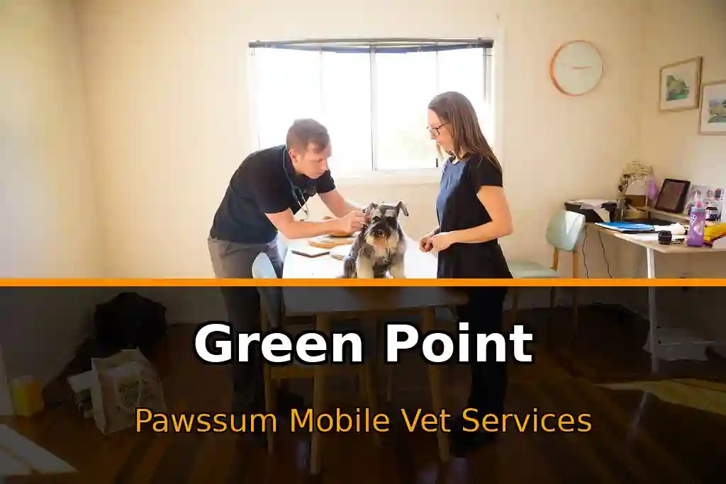 Pawssum mobile vet providing in-home pet care in Green Point, nsw-central-coast