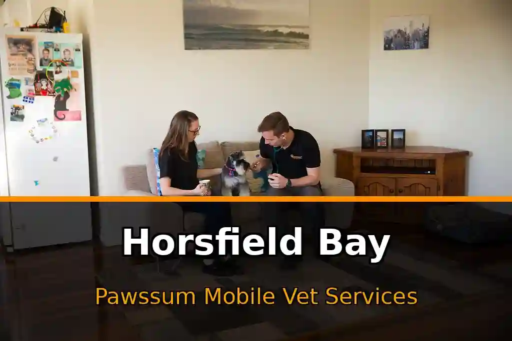 Pawssum mobile vet providing in-home pet care in Horsfield Bay, nsw-central-coast