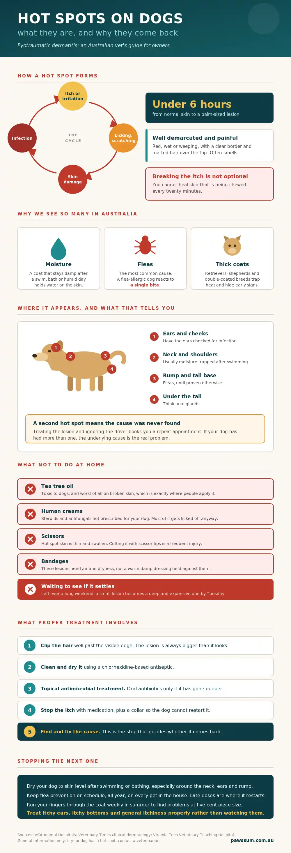 hot spots in dogs