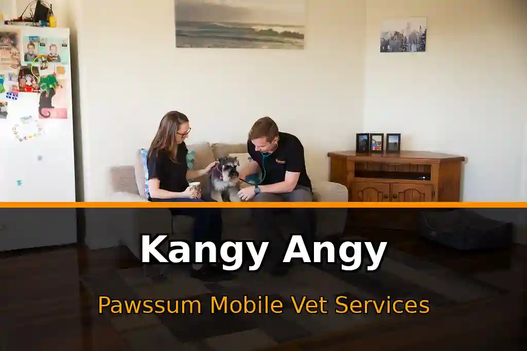 Pawssum mobile vet providing in-home pet care in Kangy Angy, nsw-central-coast