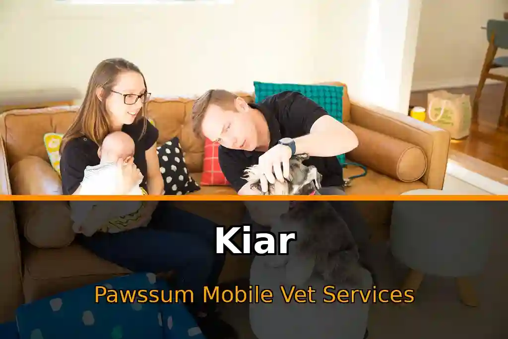 Pawssum mobile vet providing in-home pet care in Kiar, nsw-central-coast