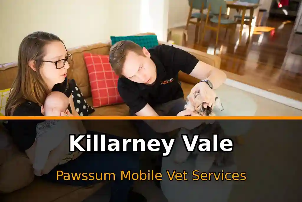 Pawssum mobile vet providing in-home pet care in Killarney Vale, nsw-central-coast