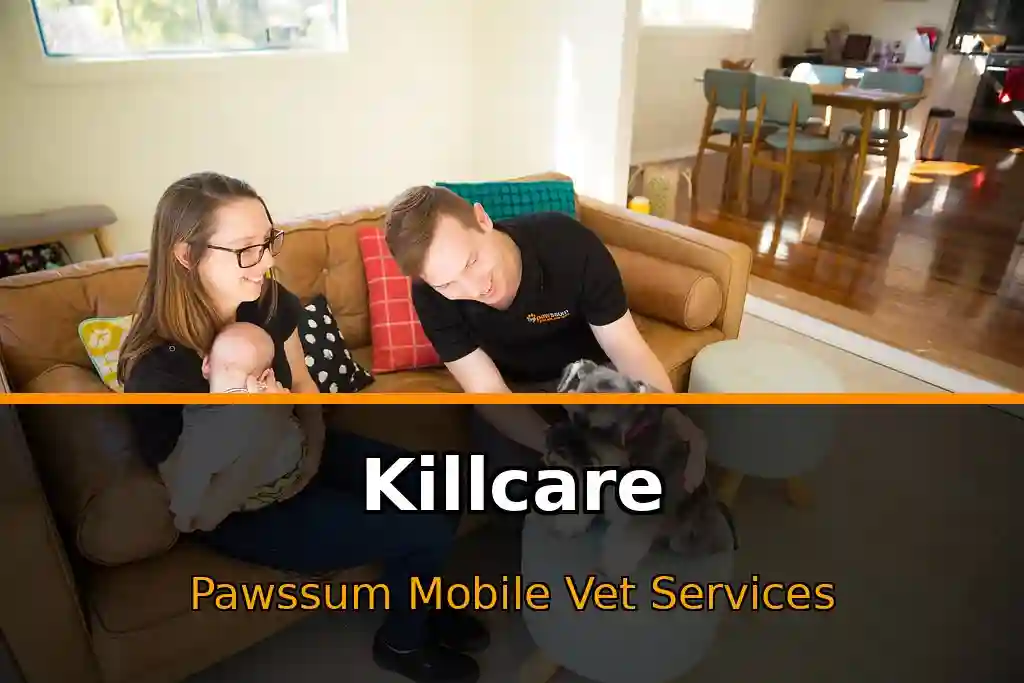 Pawssum mobile vet providing in-home pet care in Killcare, nsw-central-coast