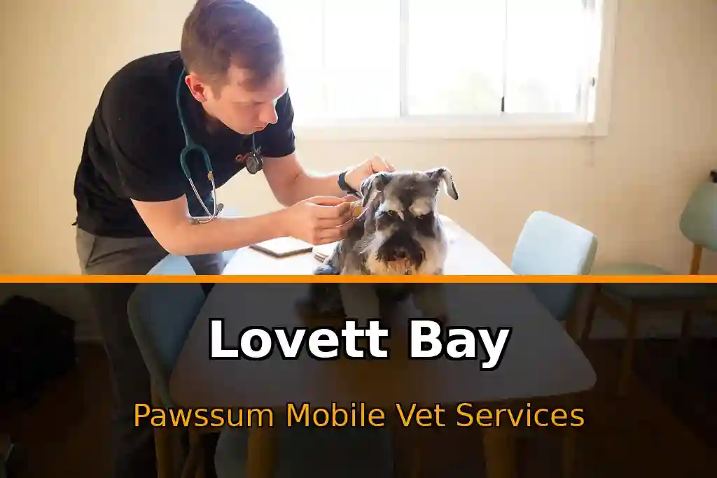 Pawssum mobile vet providing in-home pet care in Lovett Bay, nsw-central-coast