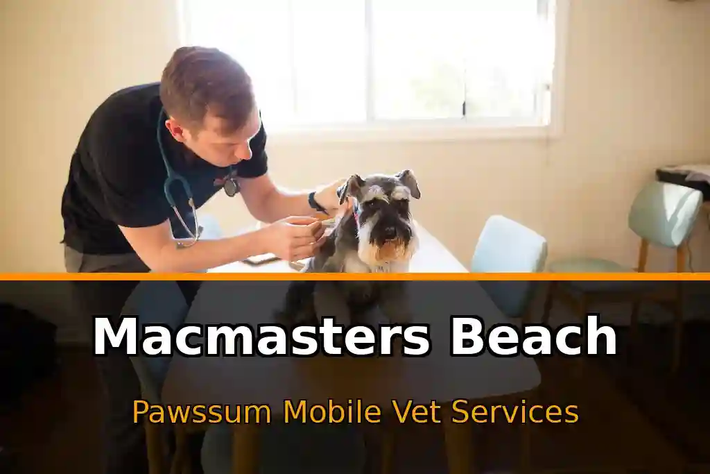 Pawssum mobile vet providing in-home pet care in Macmasters Beach, nsw-central-coast