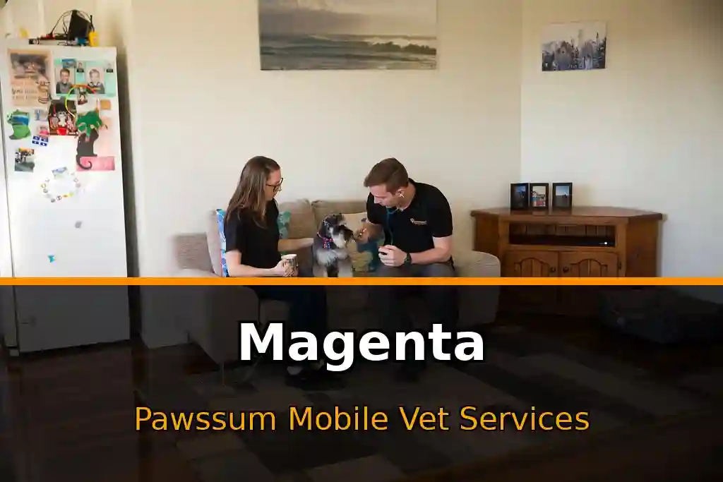 Pawssum mobile vet providing in-home pet care in Magenta, nsw-central-coast