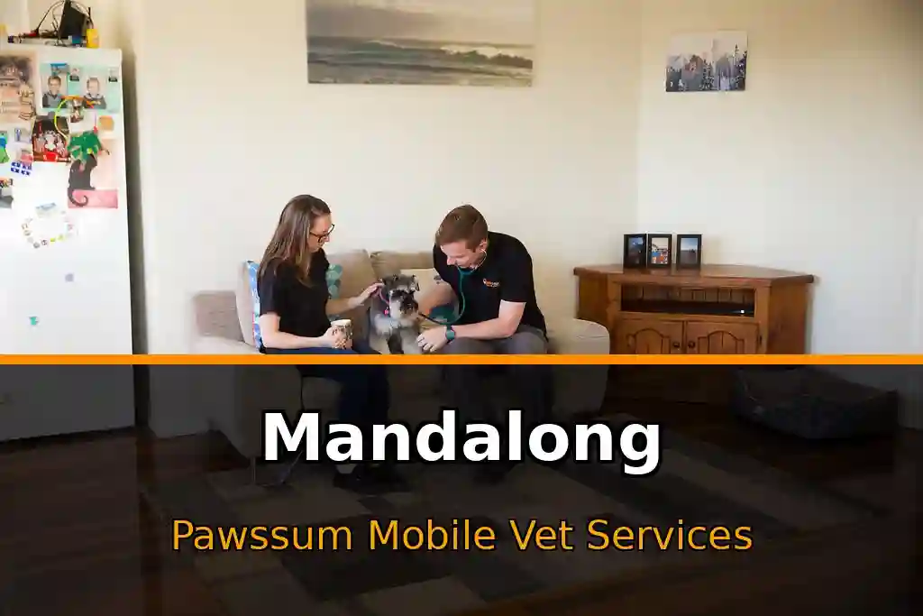 Pawssum mobile vet providing in-home pet care in Mandalong, nsw-central-coast