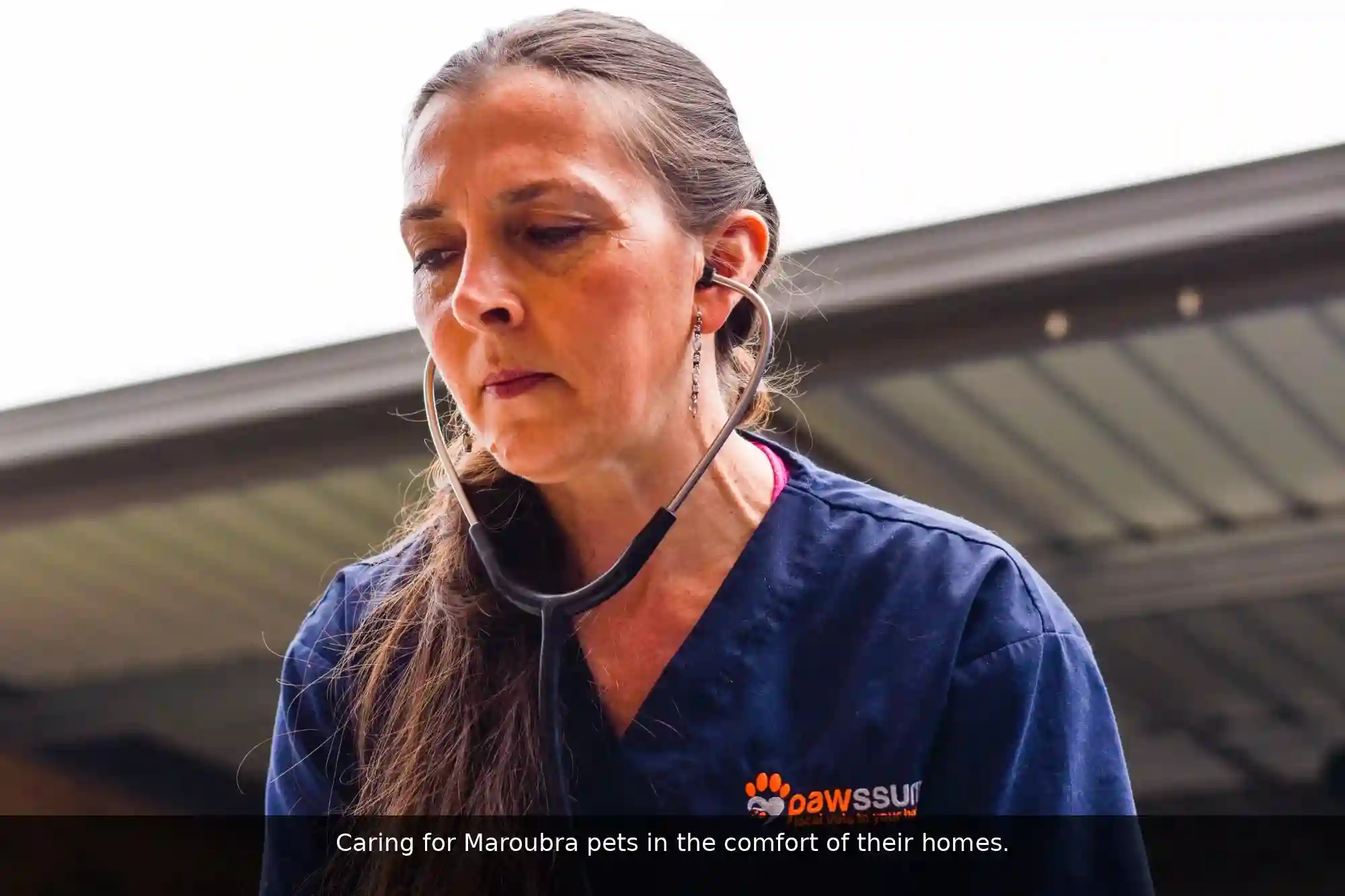 Pawssum mobile vet providing in-home pet care in Maroubra, sydney