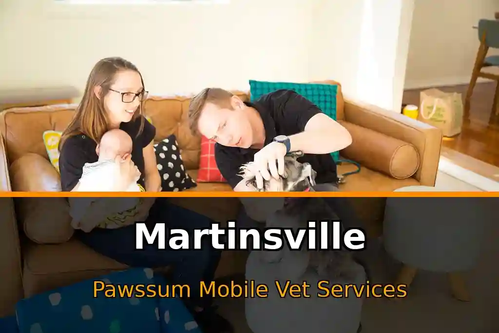 Pawssum mobile vet providing in-home pet care in Martinsville, nsw-central-coast