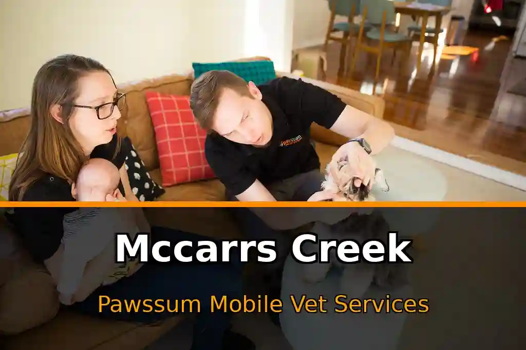 Pawssum mobile vet providing in-home pet care in Mccarrs Creek, nsw-central-coast