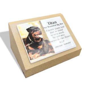Memorabilia 7
