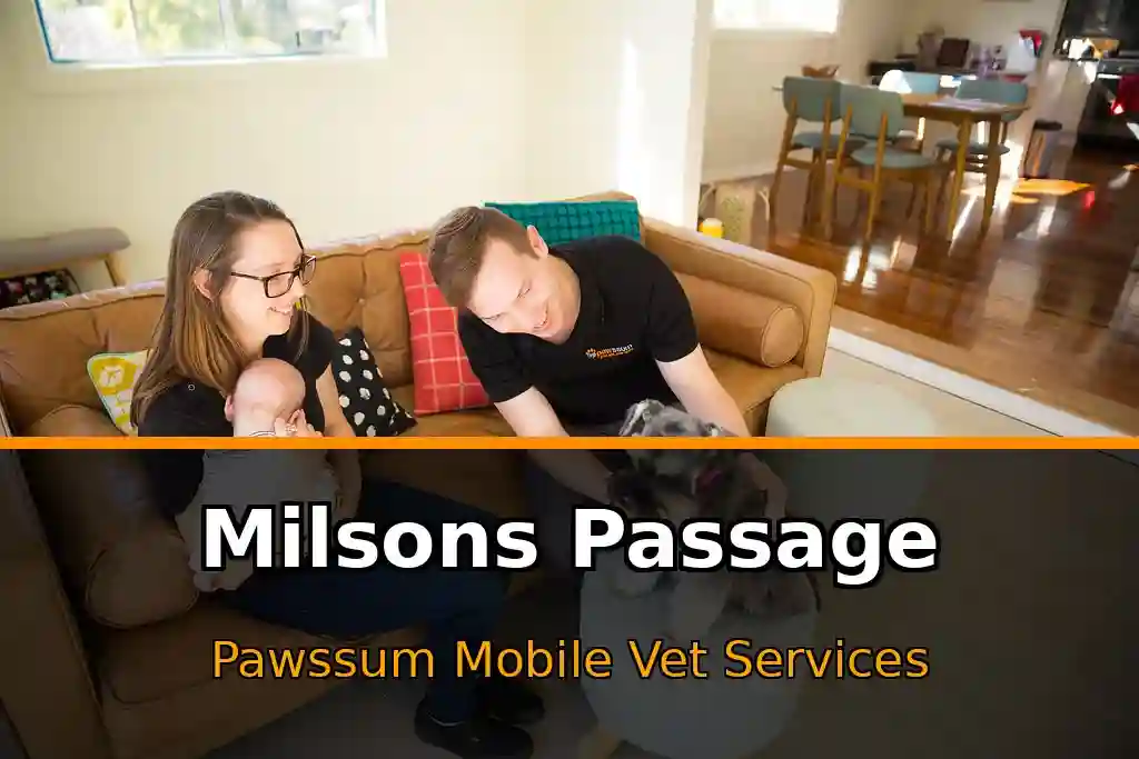 Pawssum mobile vet providing in-home pet care in Milsons Passage, nsw-central-coast