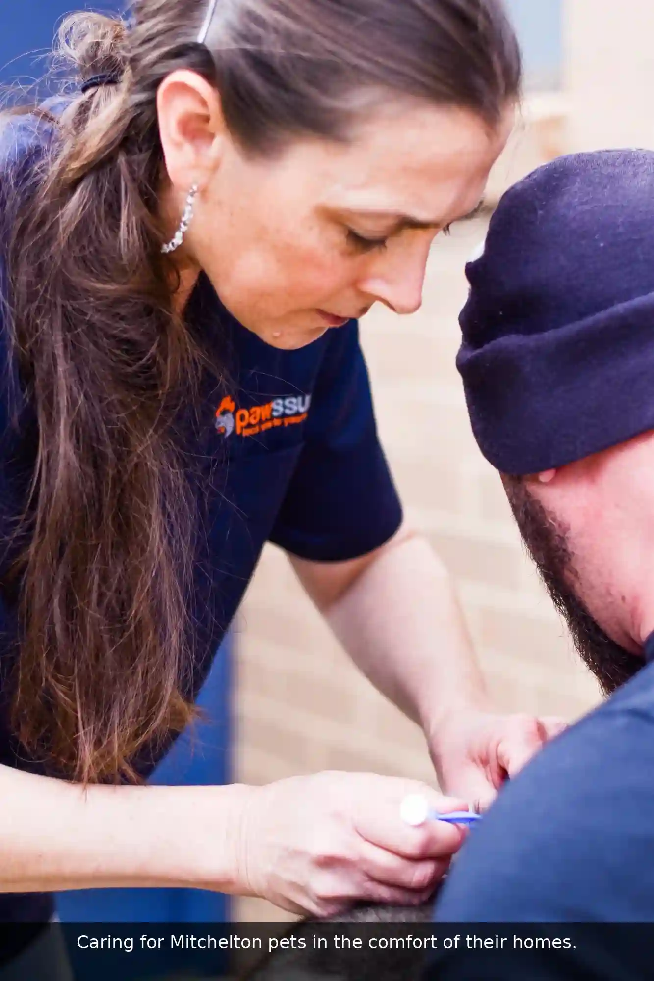 Pawssum mobile vet providing in-home pet care in Mitchelton, brisbane