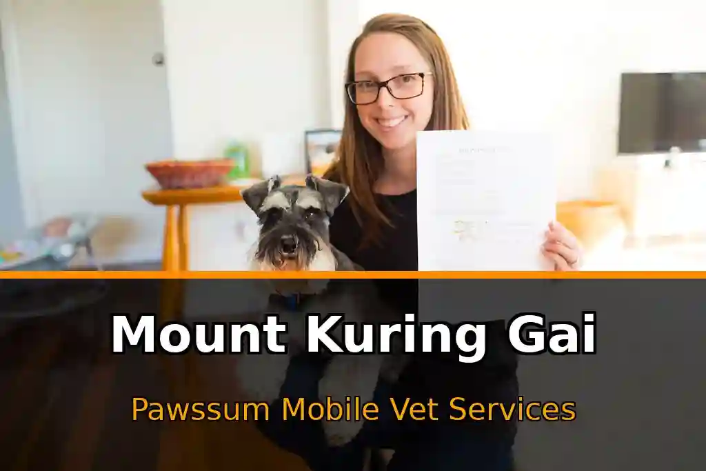 Pawssum mobile vet providing in-home pet care in Mount Kuring-Gai, nsw-central-coast