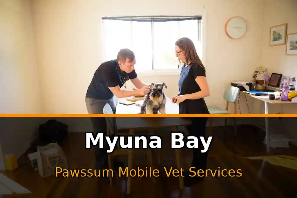 Pawssum mobile vet providing in-home pet care in Myuna Bay, nsw-central-coast
