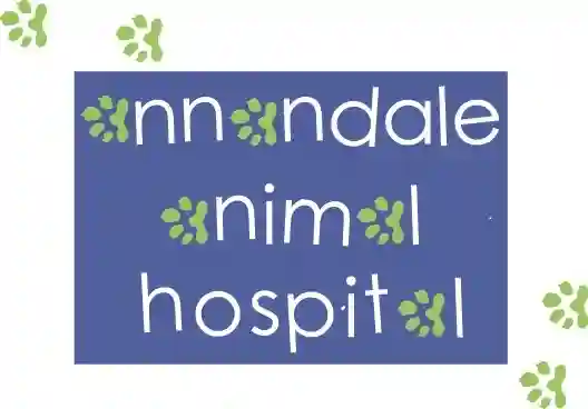 Annandale Animal Hospital NSW
