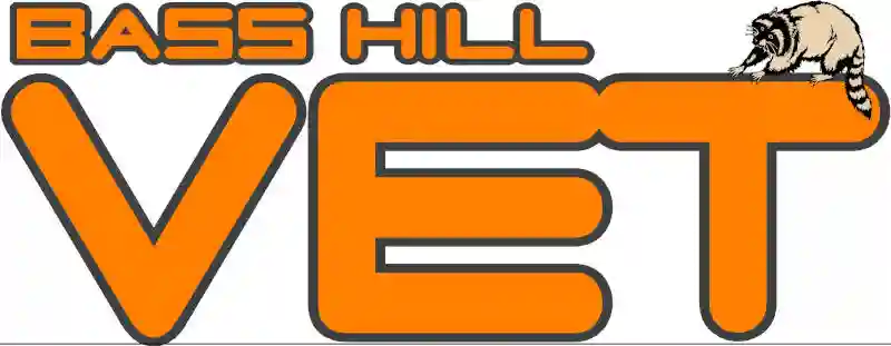Bass Hill Vet NSW