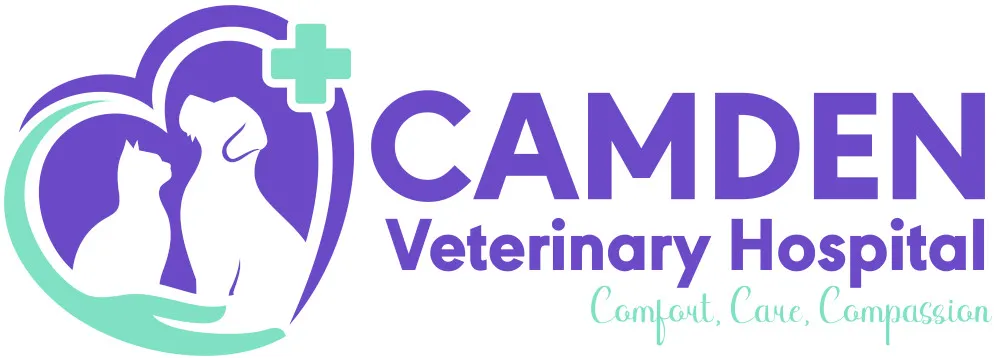 Camden Veterinary Hospital NSW