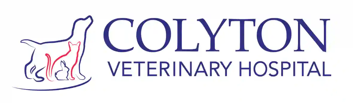 Colyton Vet Hospital NSW