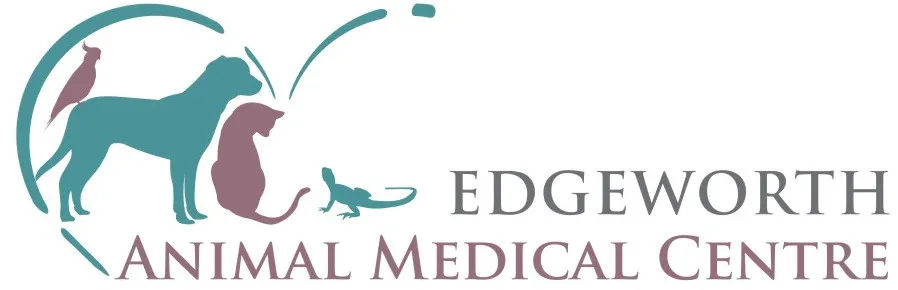 Edgeworth Animal Medical Centre NSW
