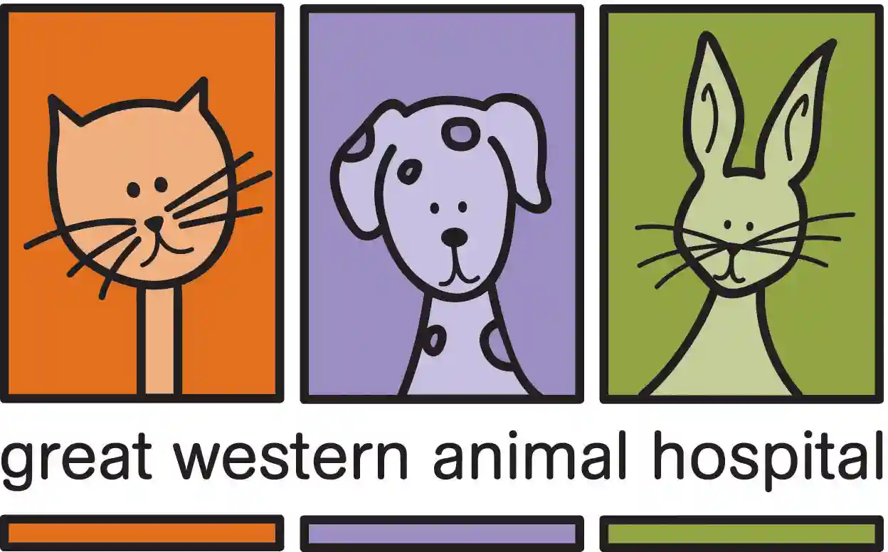 Great Western Animal Hospital NSW