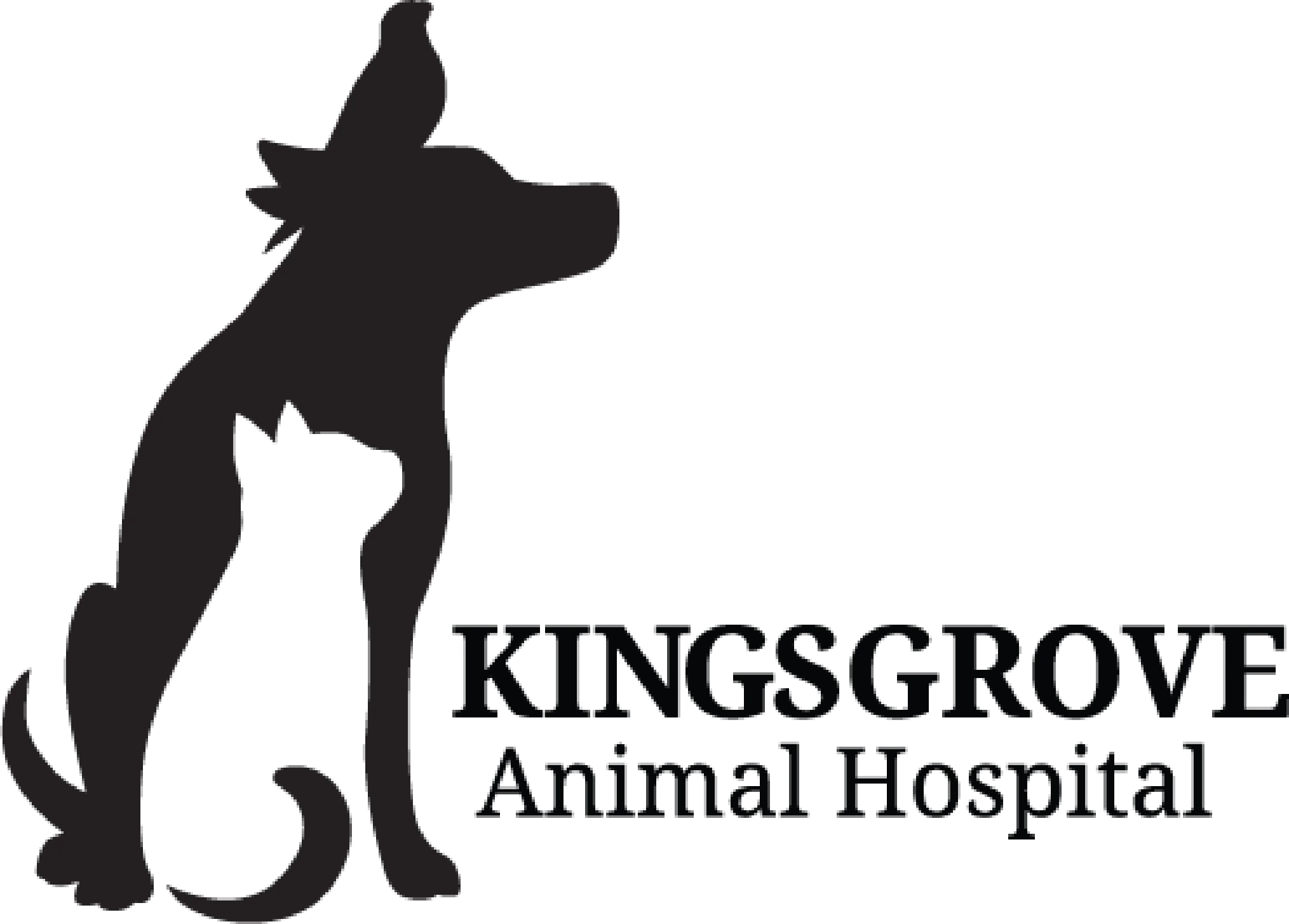 Kingsgrove Animal Hospital NSW