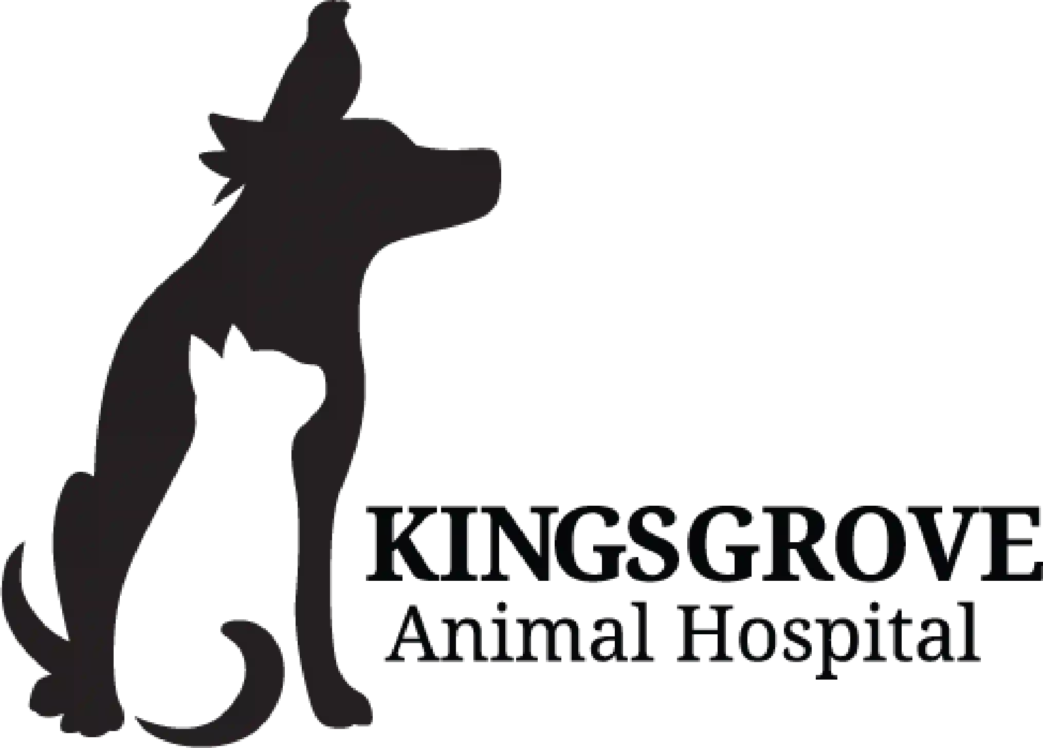 Kingsgrove Animal Hospital NSW
