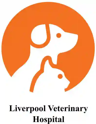 Liverpool Veterinary Hospital NSW