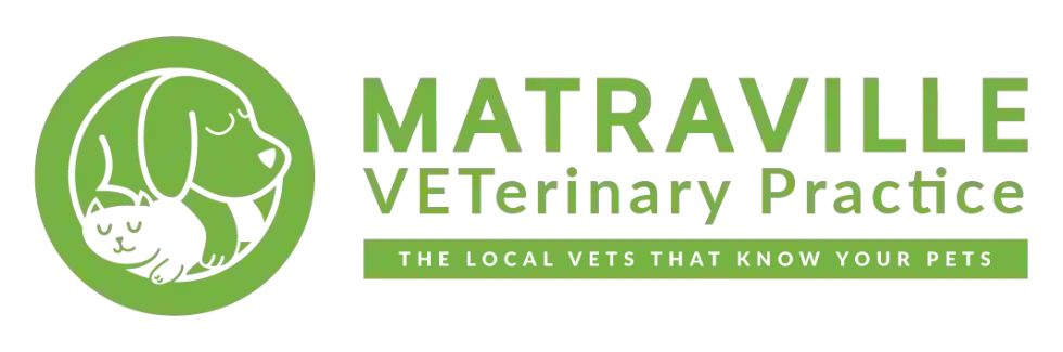 Matraville Veterinary Practice NSW