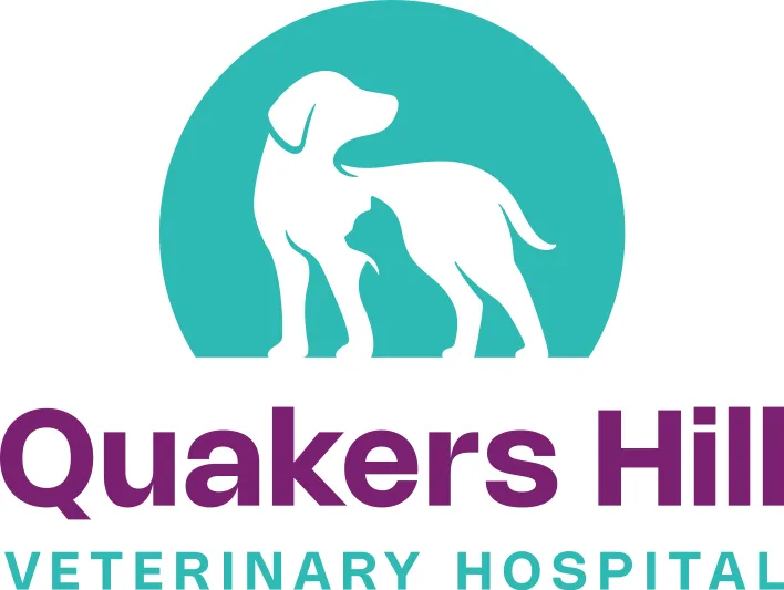 Quakers Hill Veterinary Hospital NSW