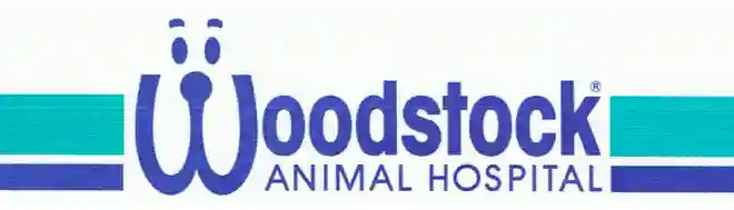 Woodstock Animal Hospital NSW