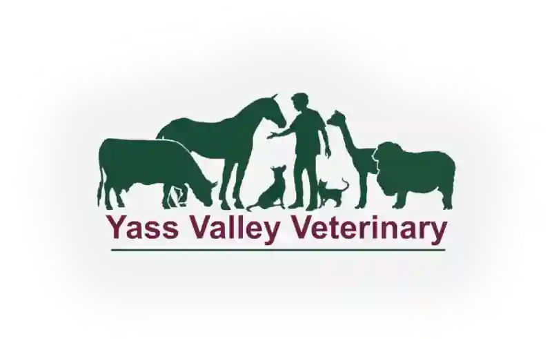 Yass Valley Veterinary NSW