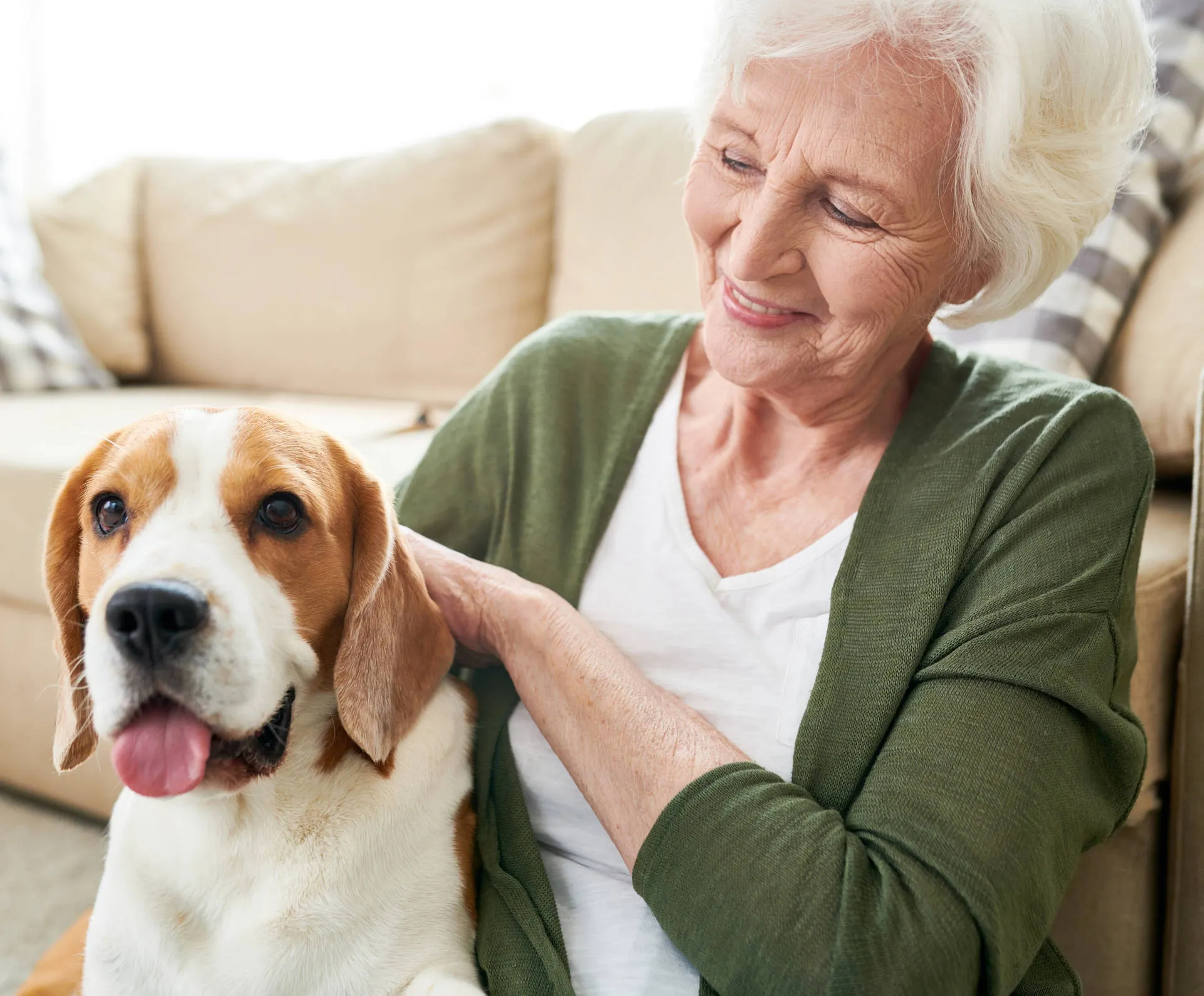 Owner sitting with senior dog, looking thoughtful but calm