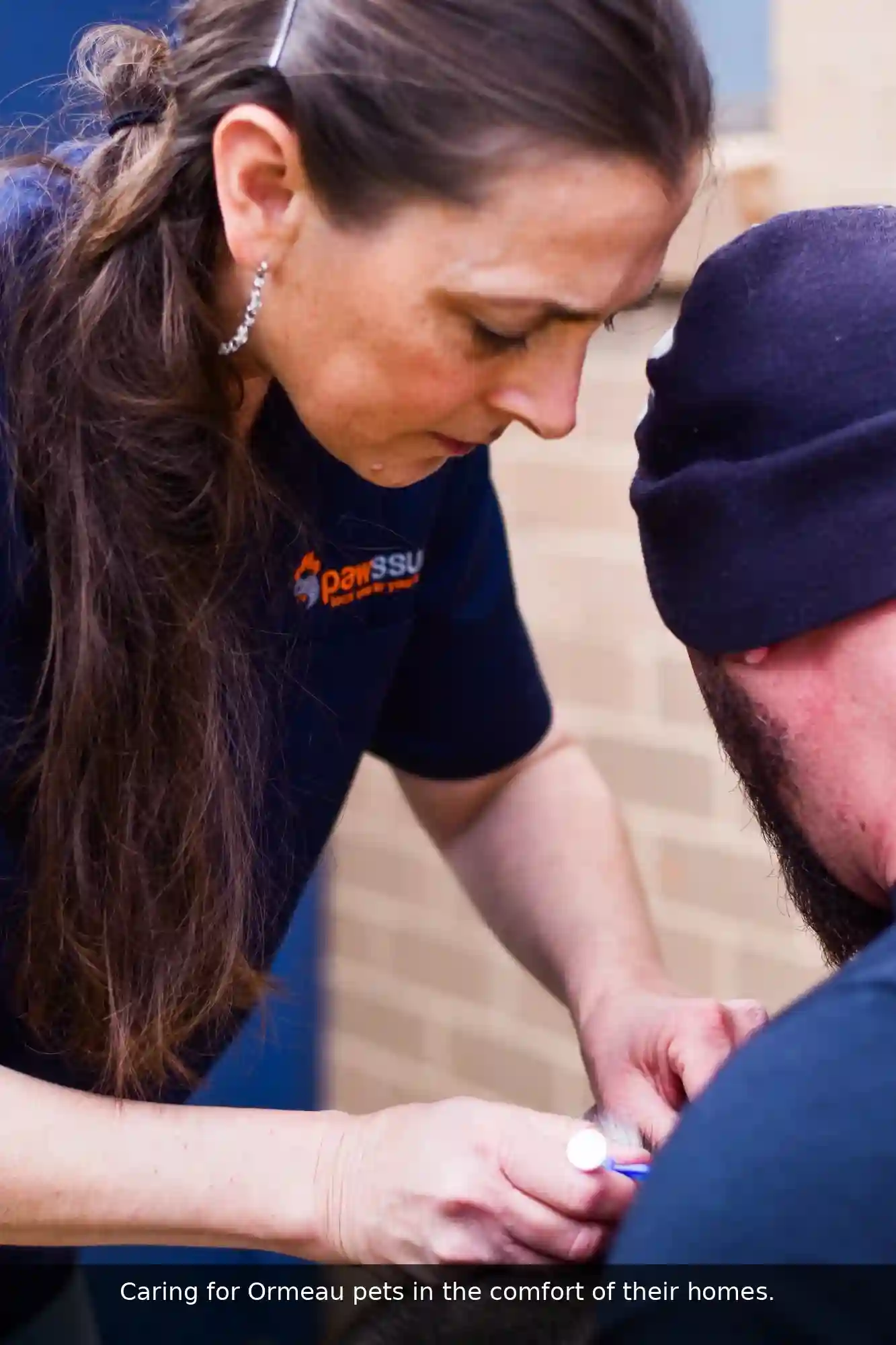 Pawssum mobile vet providing in-home pet care in Ormeau, gold-coast