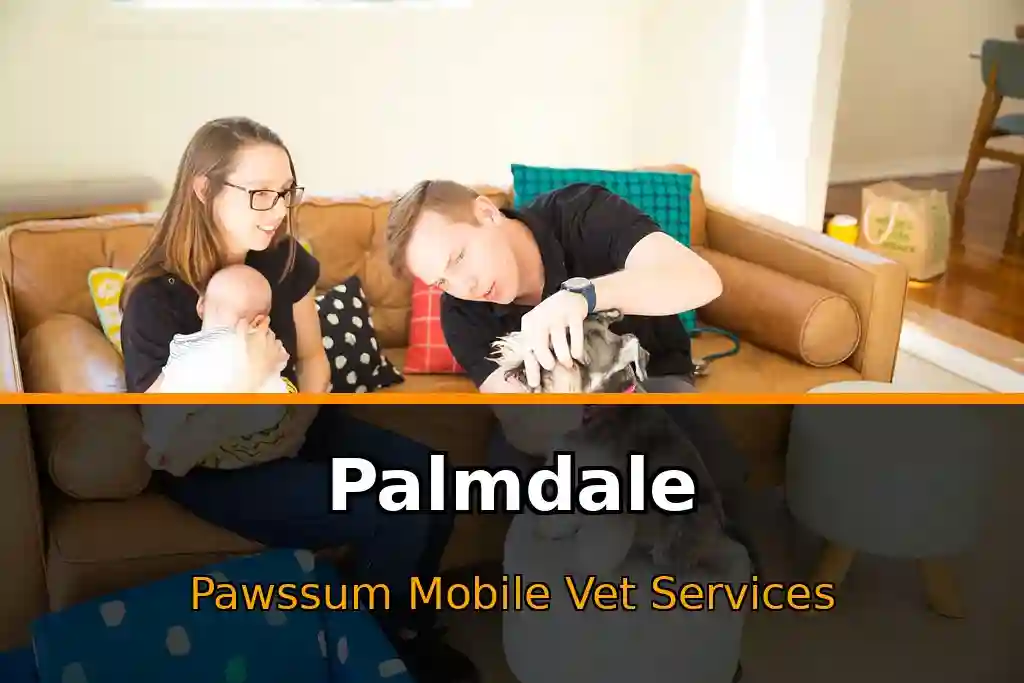 Pawssum mobile vet providing in-home pet care in Palmdale, nsw-central-coast
