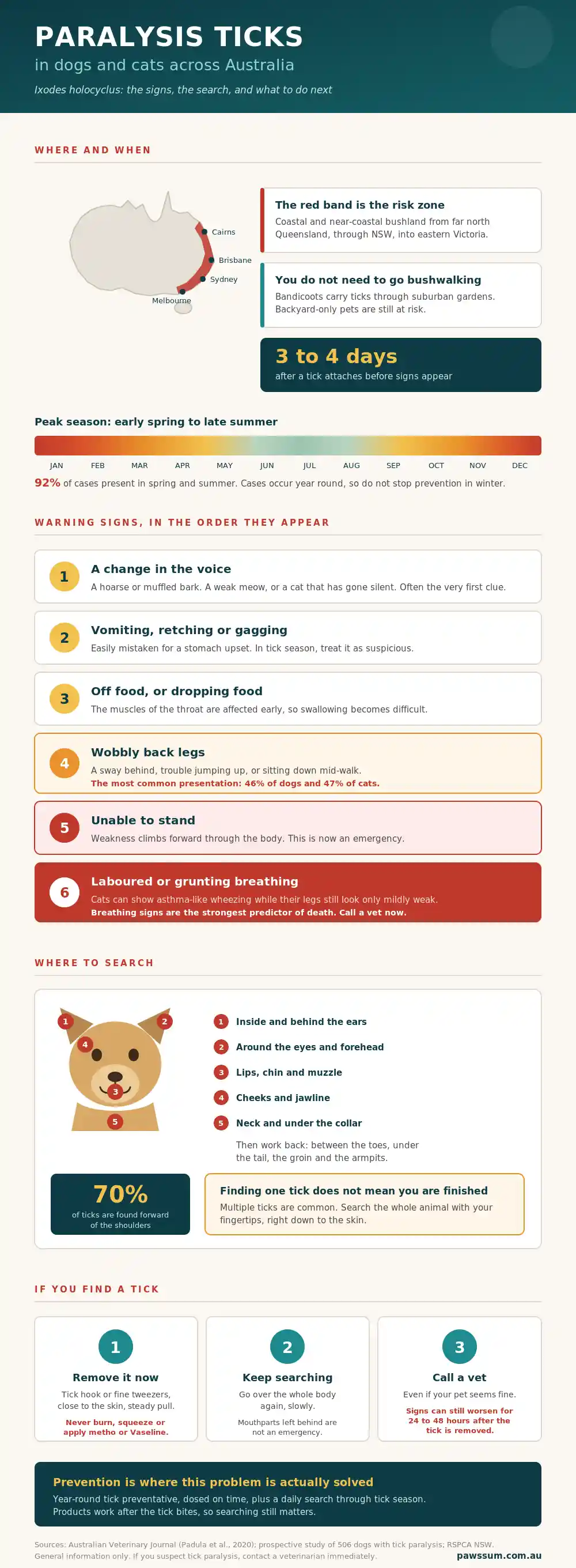 Paralysis Ticks in Dogs and Cats in Australia: Signs, Treatment, Prevention