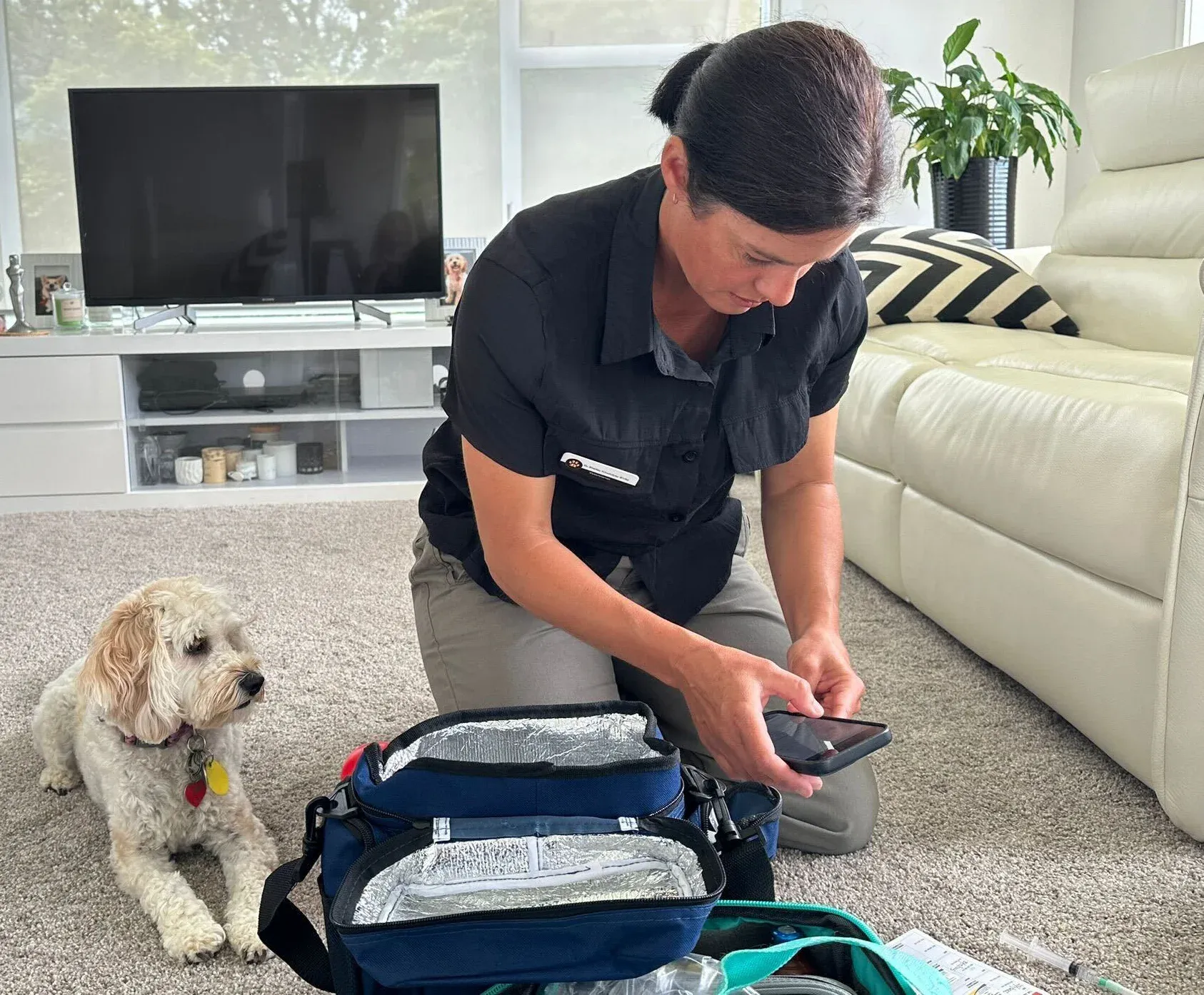 Vet looking up information while dog waits beside them