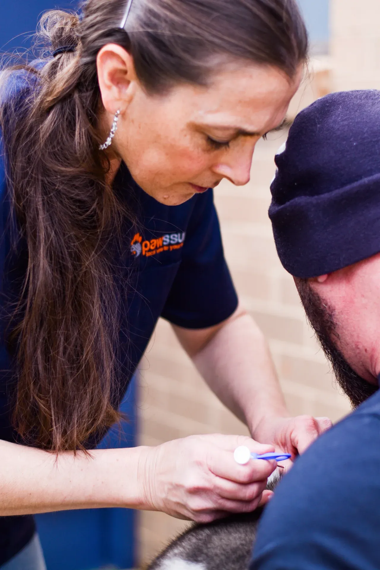 Vet giving vaccination to dog