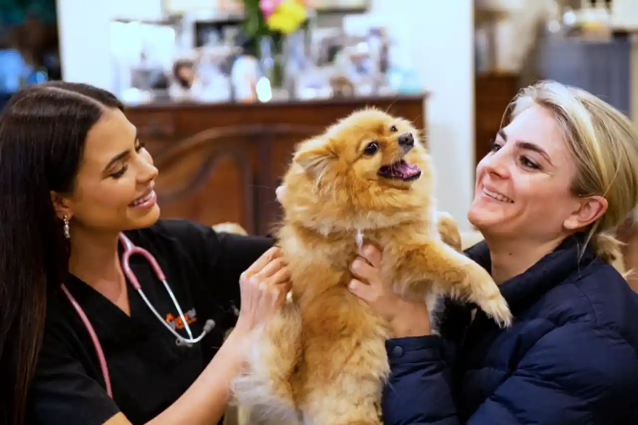 Vet and owner holding dog