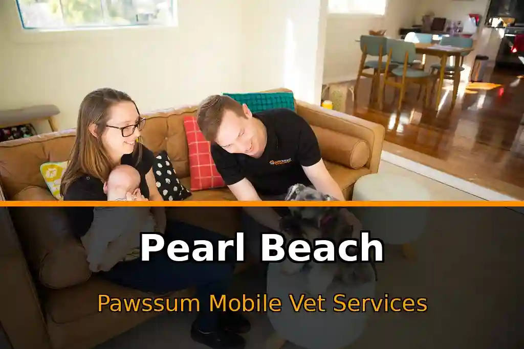 Pawssum mobile vet providing in-home pet care in Pearl Beach, nsw-central-coast