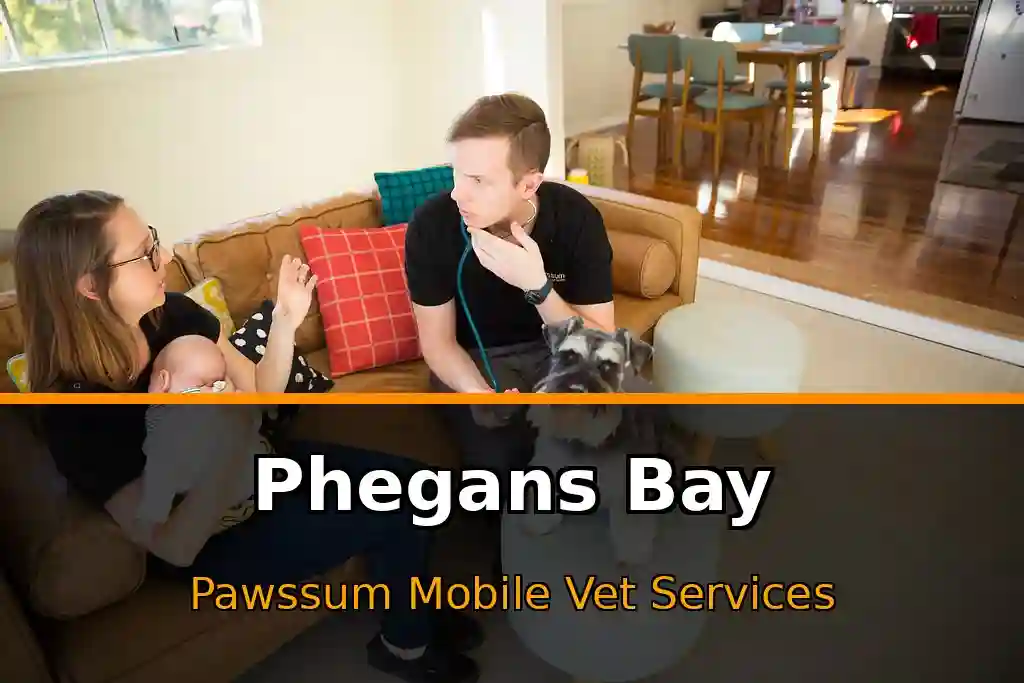 Pawssum mobile vet providing in-home pet care in Phegans Bay, nsw-central-coast