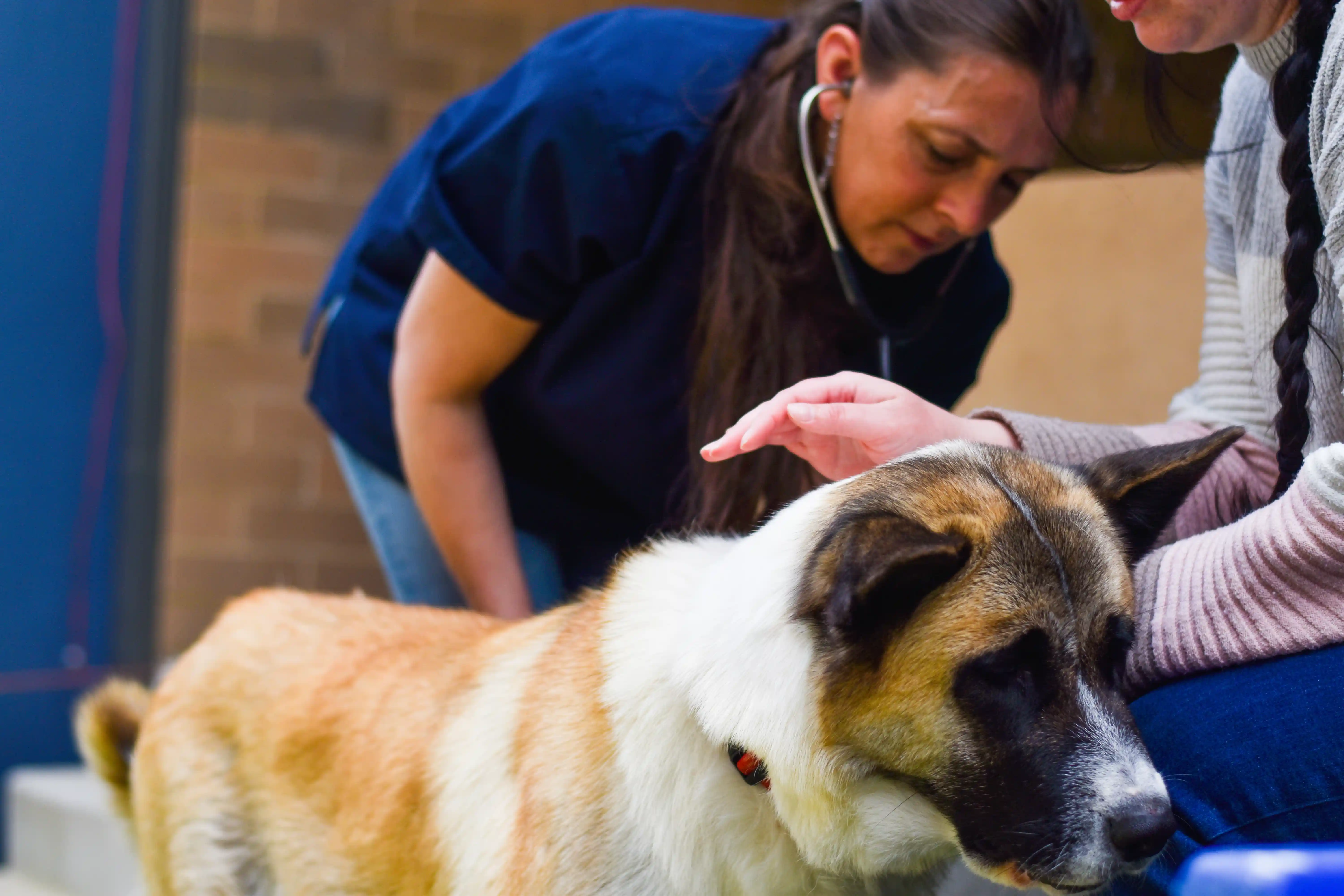 Compassionate End-of-Life Care at Home