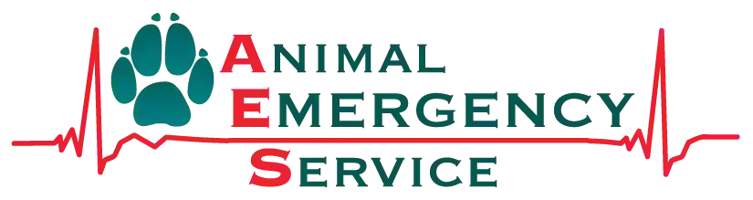 Animal Emergency Service Jindalee QLD