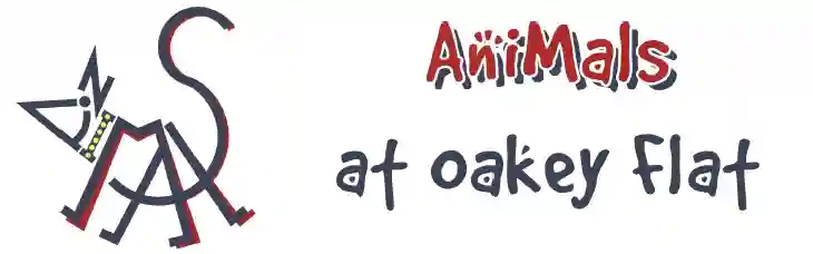 Animals At Oakey Flat QLD