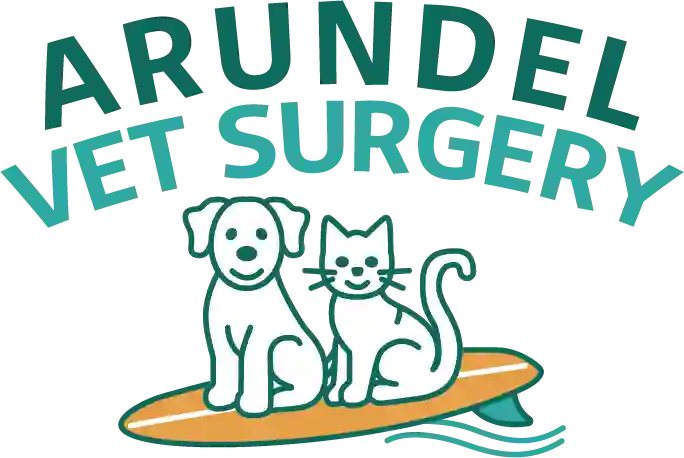 Arundel Vet Surgery QLD