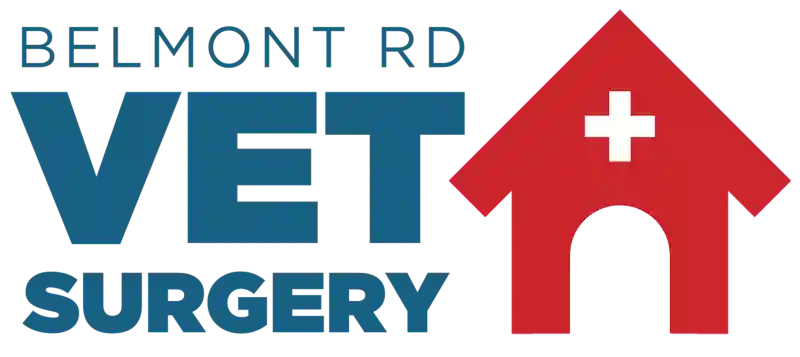 Belmont Rd Vet Surgery QLD