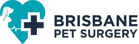 Brisbane Pet Surgery QLD