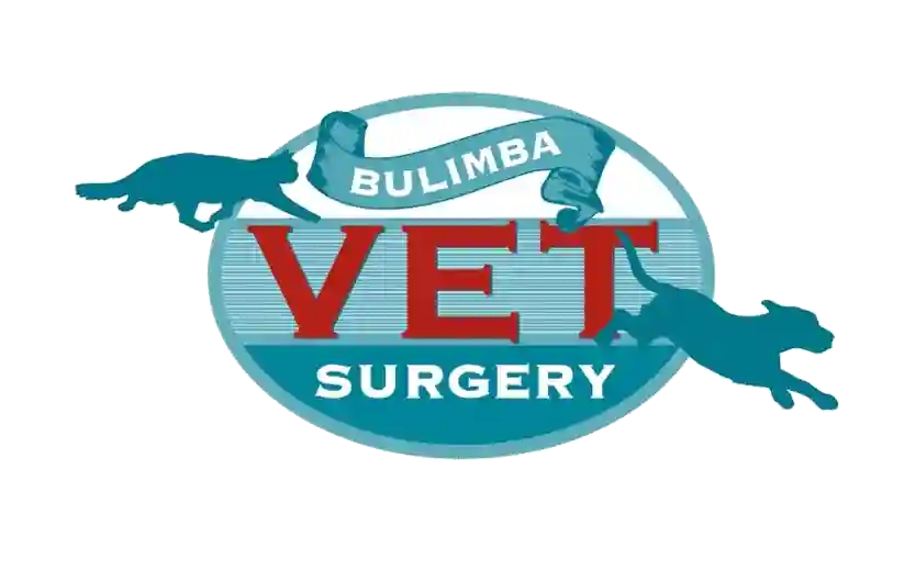 Bulimba Vet Surgery QLD