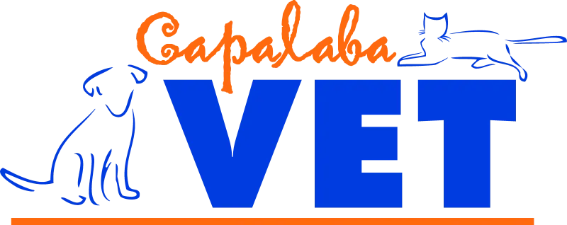 Capalaba Vet Clinic QLD