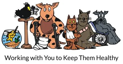 Civic Centre Veterinary Surgery QLD